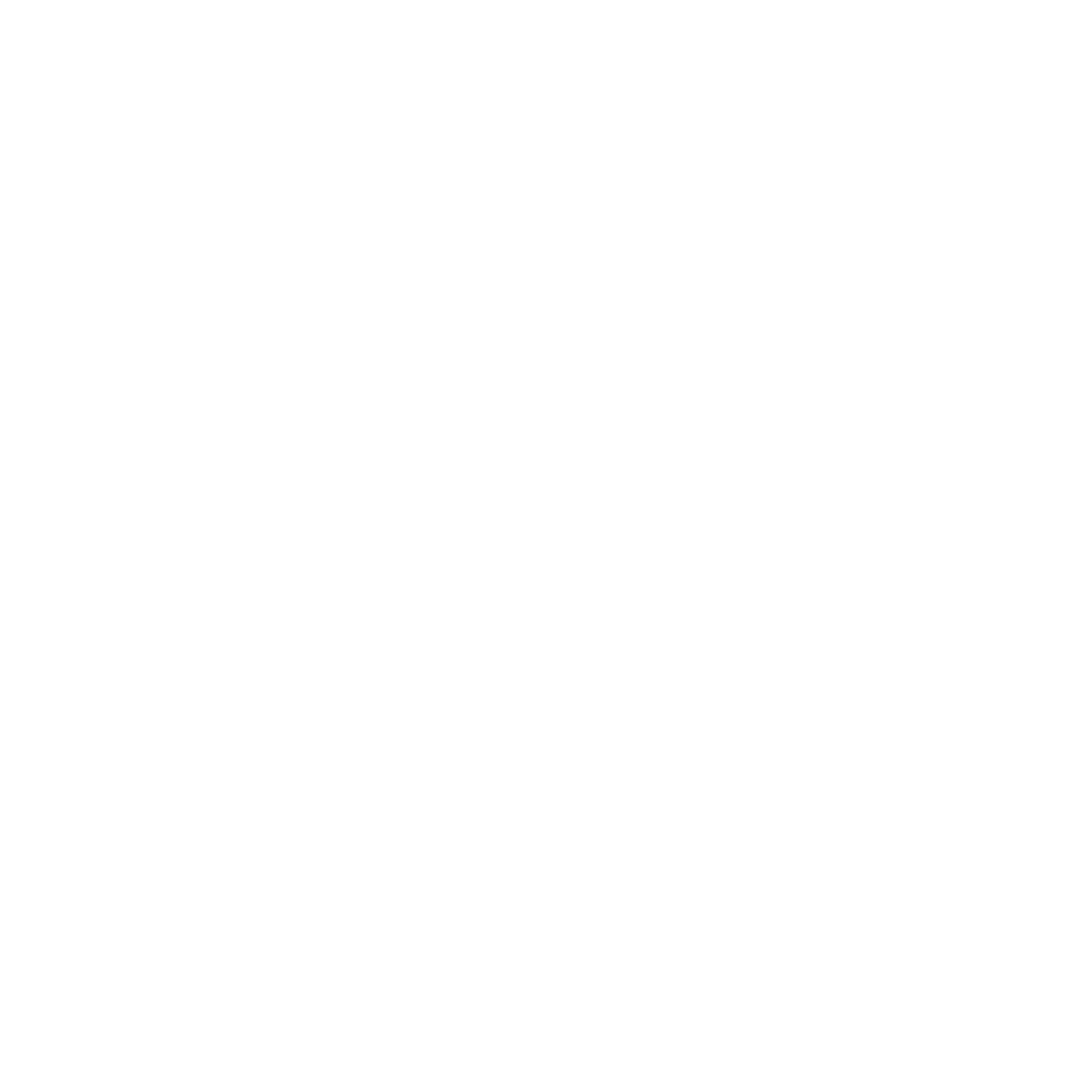Logo White